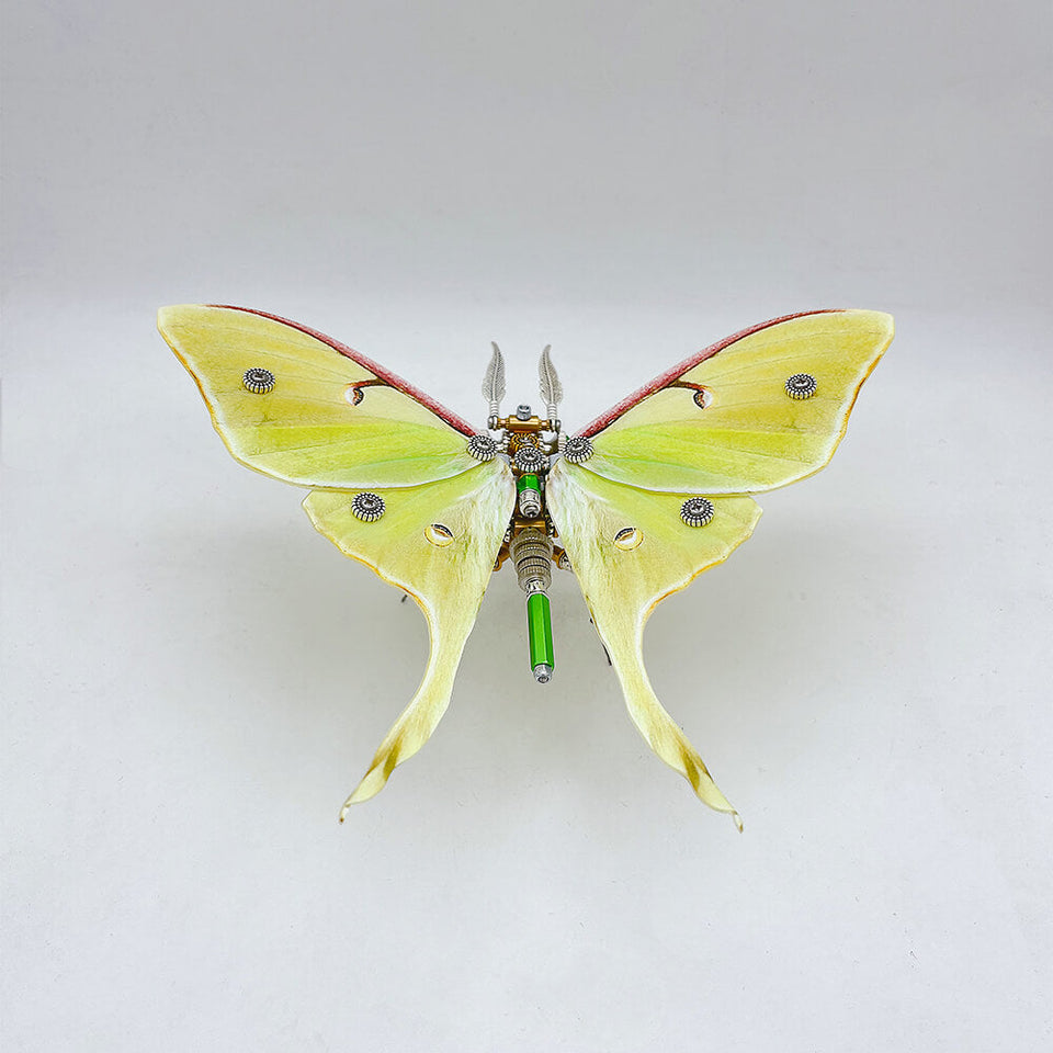 200PCS Steampunk moth metal puzzle model kit