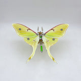 200PCS Steampunk moth metal puzzle model kit