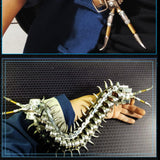 3D metal centipede puzzle model kit for adults and kids