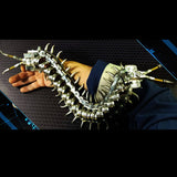 3D metal centipede puzzle model kit for adults and kids