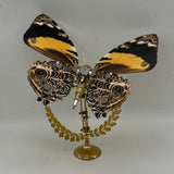 Steampunk butterfly Delias mysis 200PCS 3D metal puzzle model kit