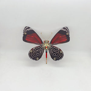 Steampunk Butterfly Diaethria dodone Metal Puzzle Model Kit For adults and kids