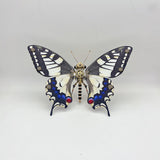 Steampunk butterfly (Papilio machaon) 3D metal puzzle model kit