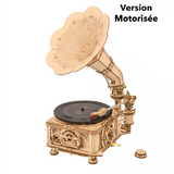 Wooden Model Classical Gramophone