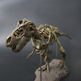 3D DIY Tyrannosaurus Rex Skeleton Fossil Large Model  Kit