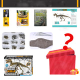 3D DIY Tyrannosaurus Rex Skeleton Fossil Large Model  Kit