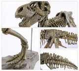 3D DIY Tyrannosaurus Rex Skeleton Fossil Large Model  Kit
